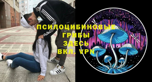 шишки Алзамай