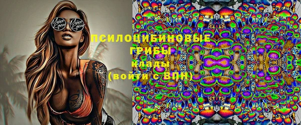 СК Абинск