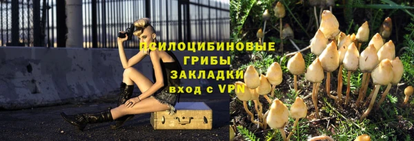 шишки Алзамай