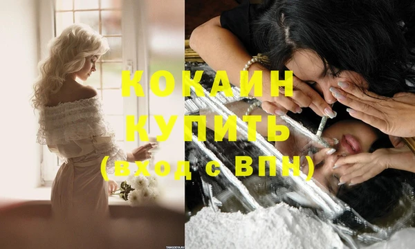 СК Абинск