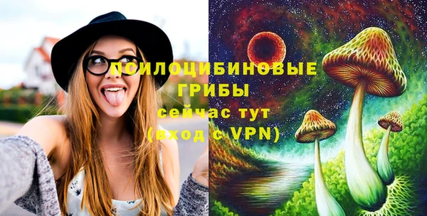 СК Абинск